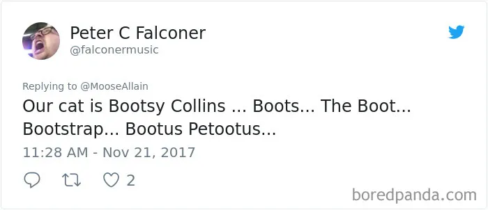 Tweet showing a humorous thread where people share the funny new names they now call their pets instead of the original ones.