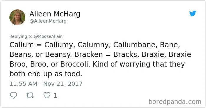 Tweet showing funny pet name variations shared by people, highlighting creative renaming of their pets with humorous twists.