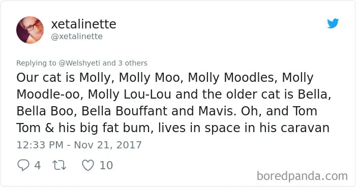 Twitter post sharing funny alternative pet names for cats Molly and Bella, highlighting hilarious pet name changes.