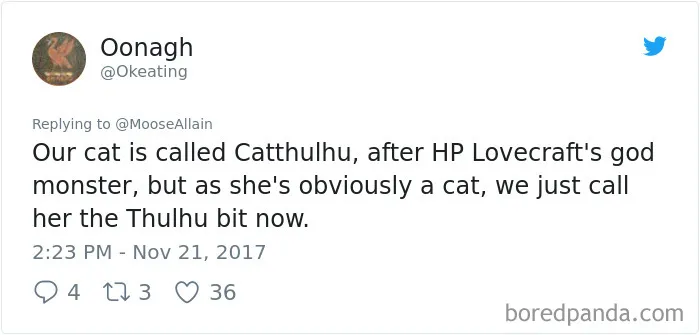 Lovecraft Meets Meow