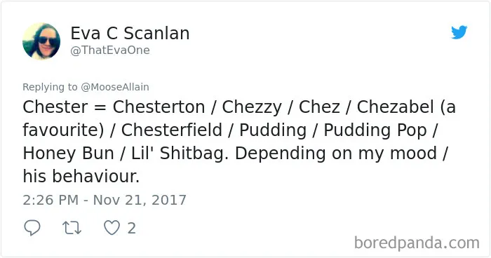 Tweet showing people sharing funny alternative names they call their pets instead of original ones, highlighting pet name creativity.