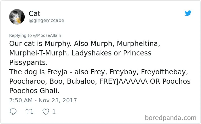Tweet showing users sharing funny alternative names they now call their pets instead of the original names, highlighting pet renaming humor.