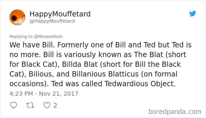 Tweet sharing funny new pet names for cats, highlighting creative nicknames replacing original names in pet name trends.