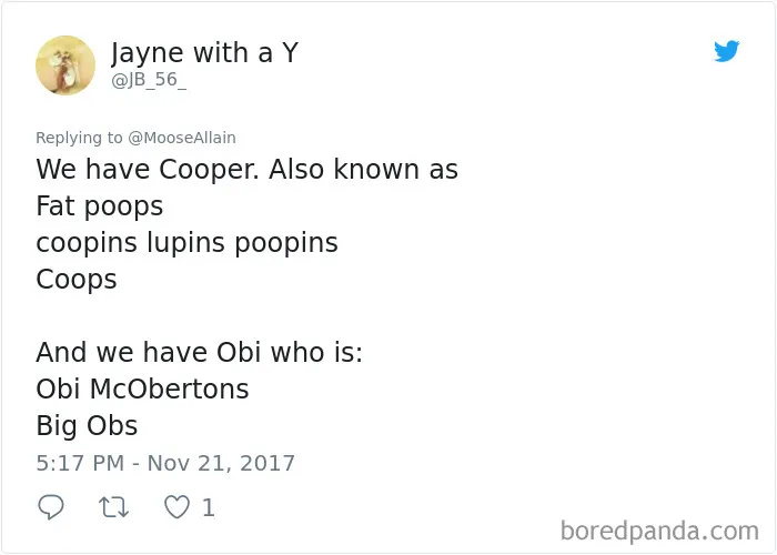 Tweet showing people sharing funny new names they call their pets instead of the original one in a humorous thread.
