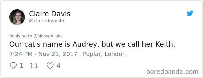 Tweet from Claire Davis sharing a funny pet name change, highlighting people sharing names they now call their pets.