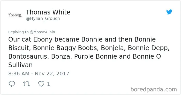 Tweet showing funny new pet names people call their cats, illustrating pet name changes and hilarious pet renaming trends.