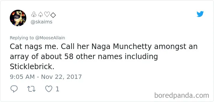 Tweet showing a user sharing hilarious alternative pet names they now call their cat instead of the original name.