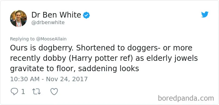Tweet showing a humorous pet name change to dogberry and dobby, shared by people discussing new pet names.