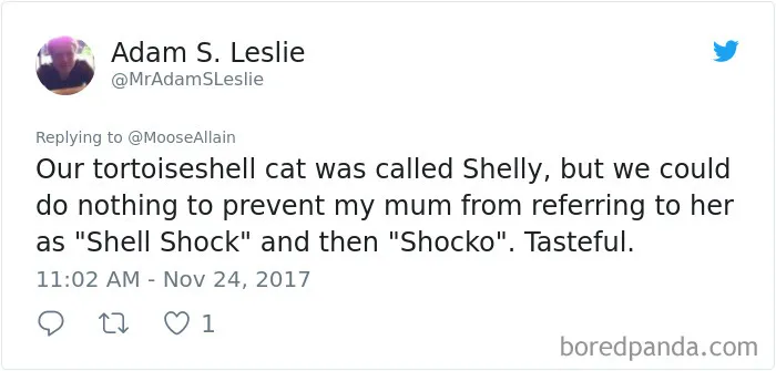 Tweet showing a humorous pet name change from Shelly to Shell Shock and Shocko shared by people renaming their pets.