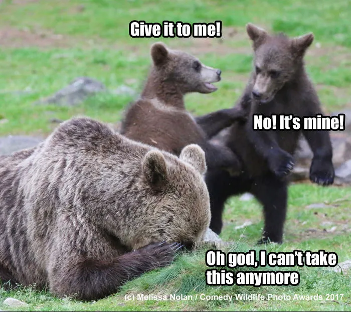 I Saw More "Comedy Wildlife Photography Awards" Submissions And Had To Add Some Captions