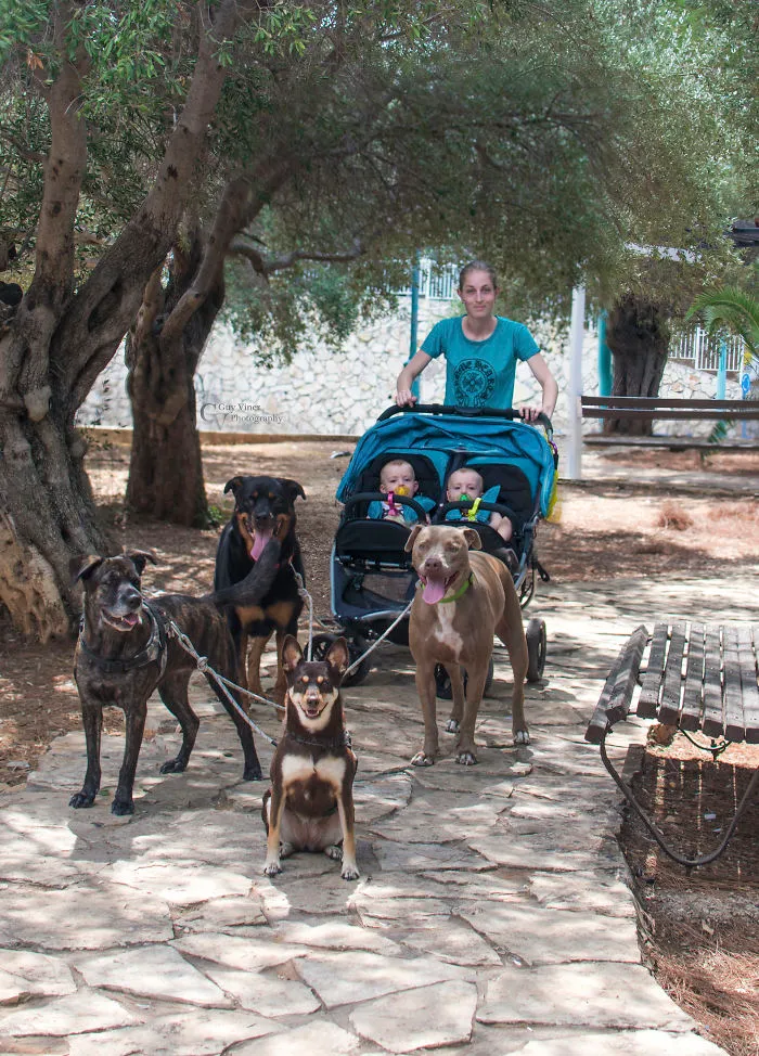 Cuando Mamá Se Siente Vaga Los Perros De La Familia Pueden Ayudarla