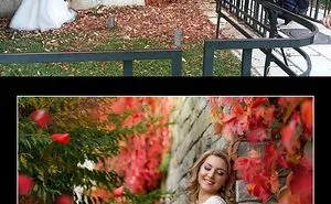 10+ Photos That Prove Wedding Photographers Are Crazy [part 2]