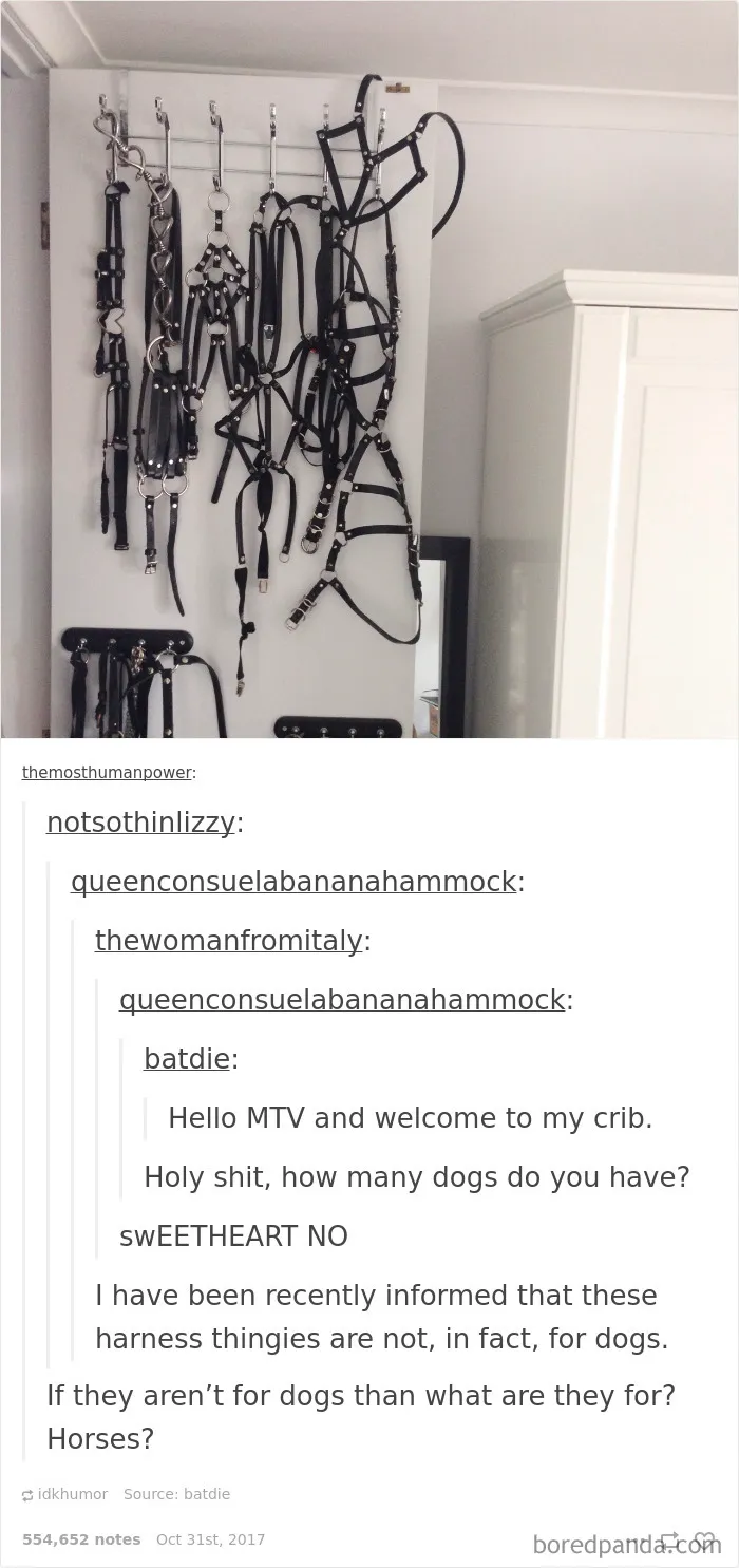 27 Times People Were Too Innocent For The Internet