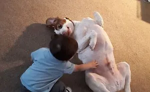 Playmates