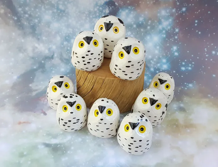 Snowy Owls