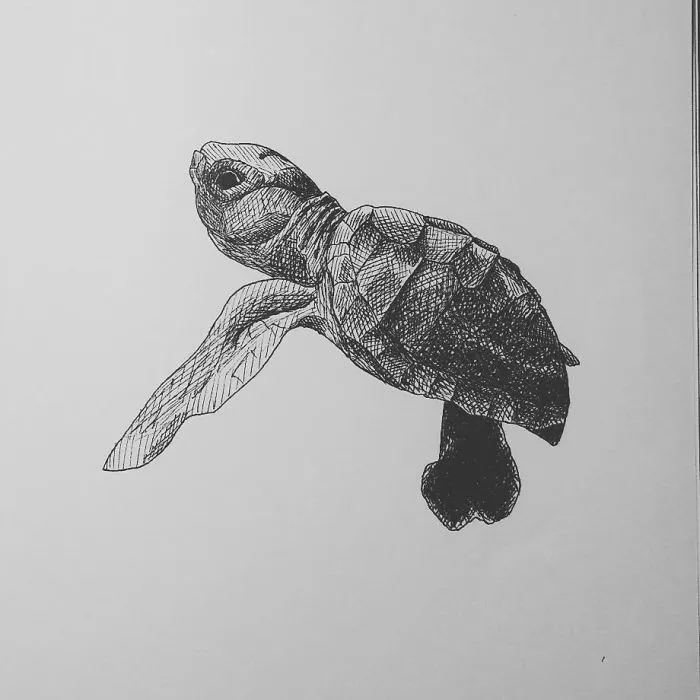 My Inktober 2017 - Animals