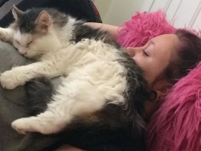 My Daughter-In-Law Adopted This Sweety.  He Only Has One Eye And Is Half Blind In The Other.  He Was Rescued From A Hoarding Situation.  Despite Coming From A Home Where Many Dead Cats Were Found, He Loves Nothing More Than A Good Cuddle.