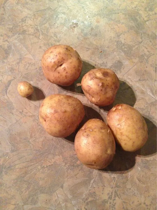 So I Asked My Husband To Buy 6 Potatoes