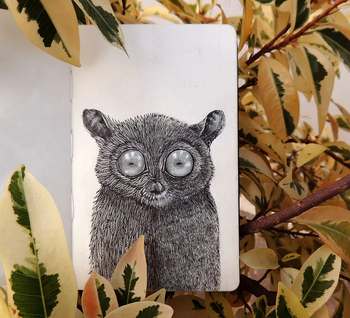 Tarsiers
