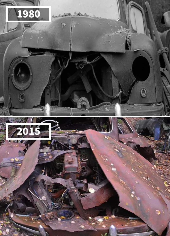 Kyrkö Mosse, Sweden, 1980 - 2015
