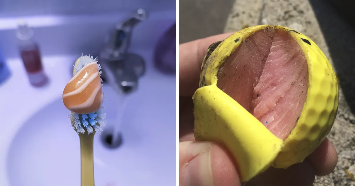 20+ Cosas que parecían comida, pero que seguro lamentarías intentar comerlas