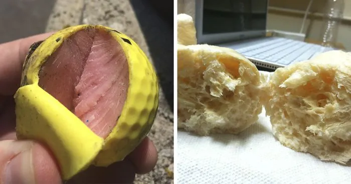84 Times Things Looked Like Food, But You'd Probably Seriously Regret Eating Any Of It