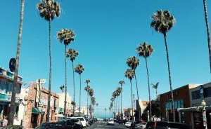 Spent Summer In This Bubble Of Happiness And Ignorance, Known As California