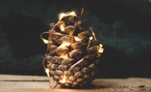 I Give You 10 Tips How To Take Amazing Photos Of A Boring Object!