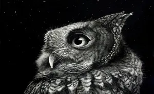 I Create Hyper-Realistic Scratch Drawings On An Ink Coated Board