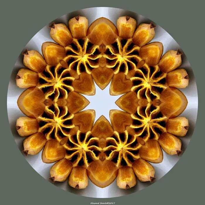 Who Else Likes Kaleidoscopes From Photographs Of Fireworks, Antique Buttons, Flowers, An Old Bus And Even Lightning?