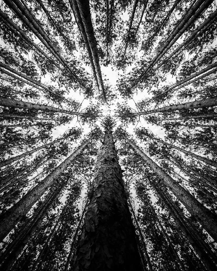 1 Million People Follow This Photographer On Instagram, And After Seeing His Pics It's No Wonder Why