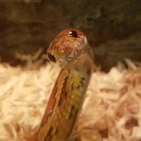 "Hi Mom!"