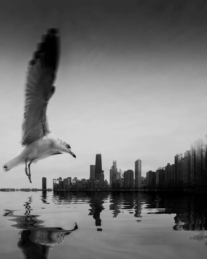 1 Million People Follow This Photographer On Instagram, And After Seeing His Pics It's No Wonder Why