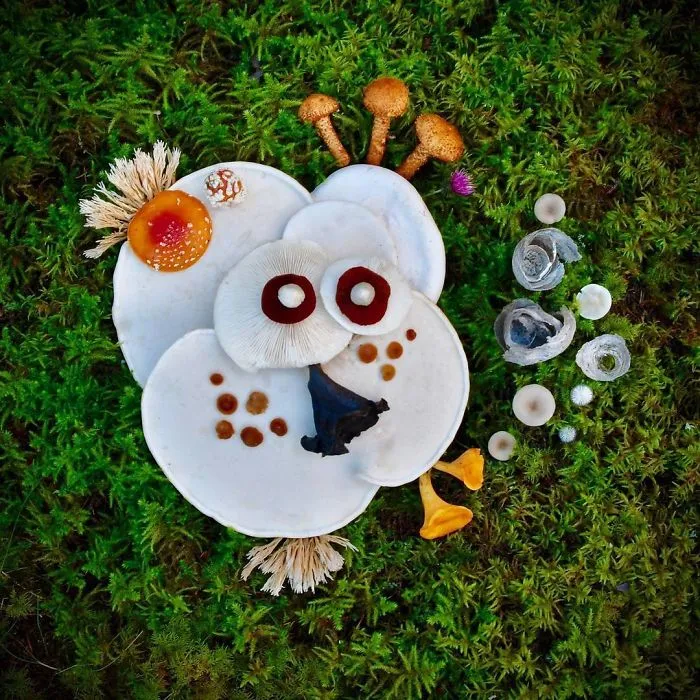 I Create My Own Dream World Using Wild Mushrooms