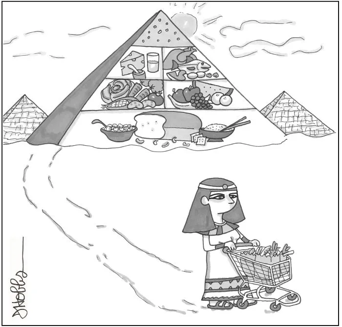 Food Guide Pyramid