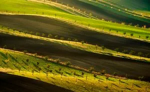 I Traveled To The Czech Republic To Photograph Moravian-Tuscany In Autumn