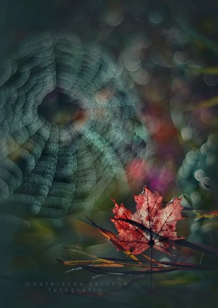 Beautiful Autumn In The Lens
