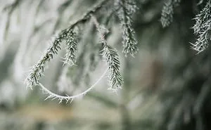 Incredible Temperature Inversion In The Karkonosze Mountains