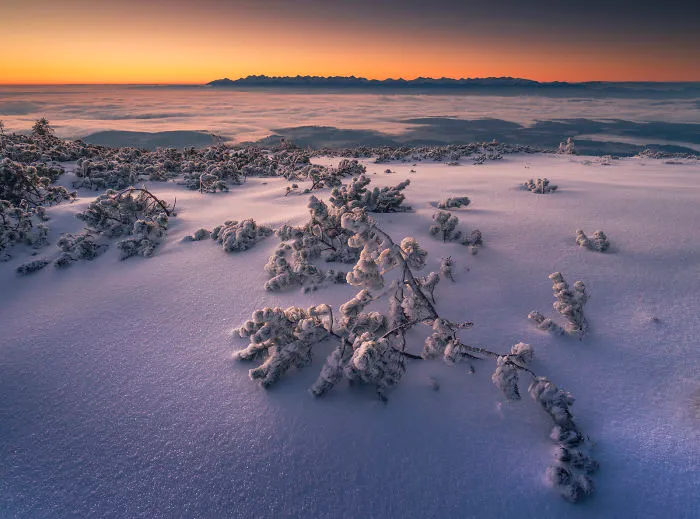 I Have Found The Magic Of Winter In The Polish Mountains