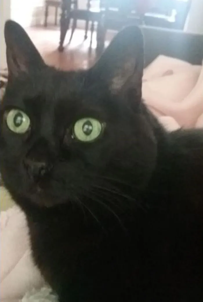 Daisy Serendipity - A Cleft Lip, But What A Beauty! Saved My Life In 2010. My Hero!