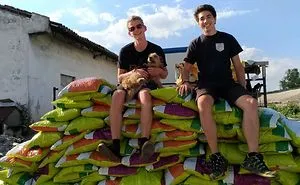 Helping 850 Dogs Is Not Easy At All...but It Makes Me Happy