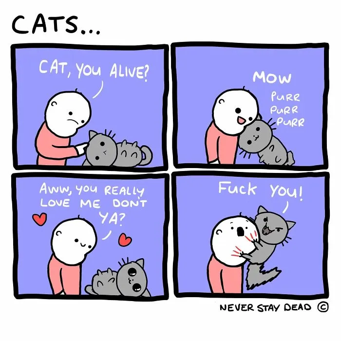 My 28 Funny, Cute, Sometimes Relatable, And Often Offensive Comics