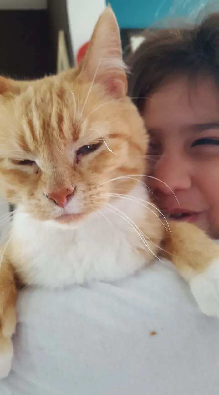 Beebles Is Blind, Deaf, And Spoiled Rotten. Happiest Cat I've Ever Had.