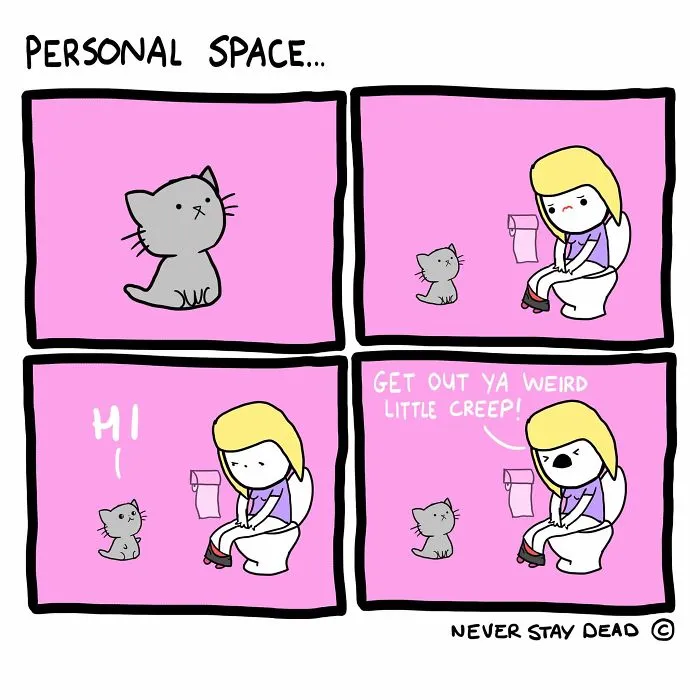 My 28 Funny, Cute, Sometimes Relatable, And Often Offensive Comics