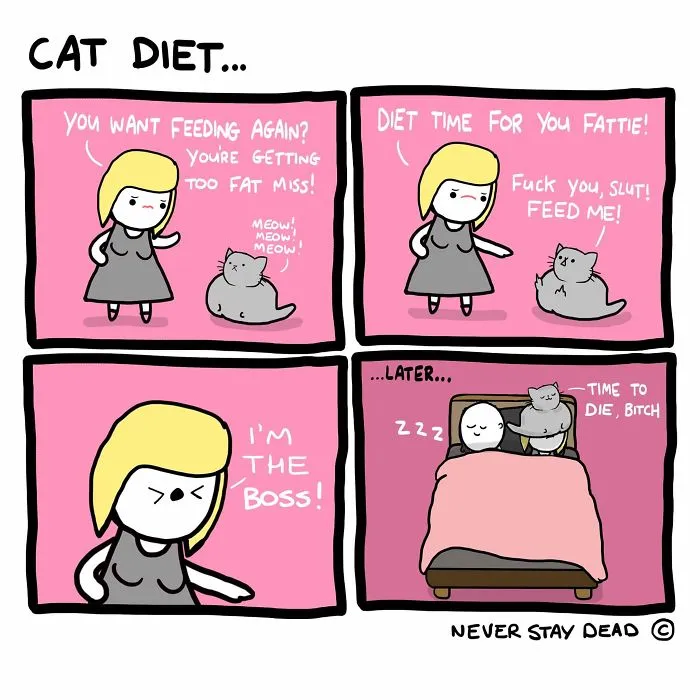 My 28 Funny, Cute, Sometimes Relatable, And Often Offensive Comics