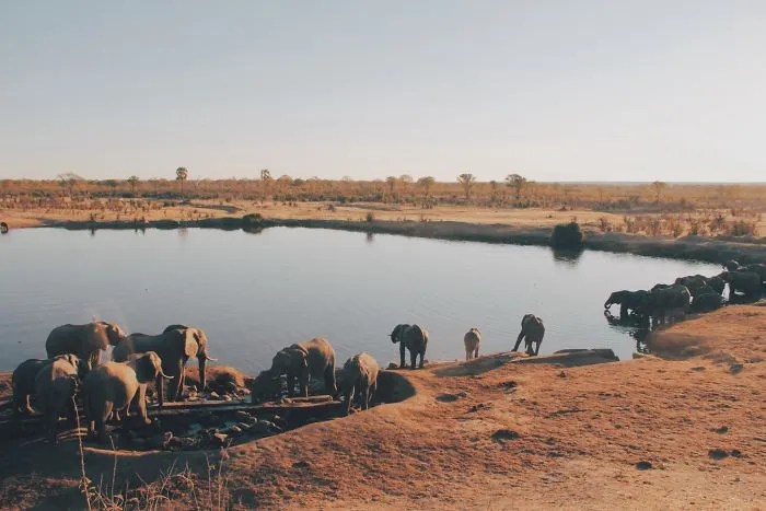 Hwange National Park - Zimbabwe