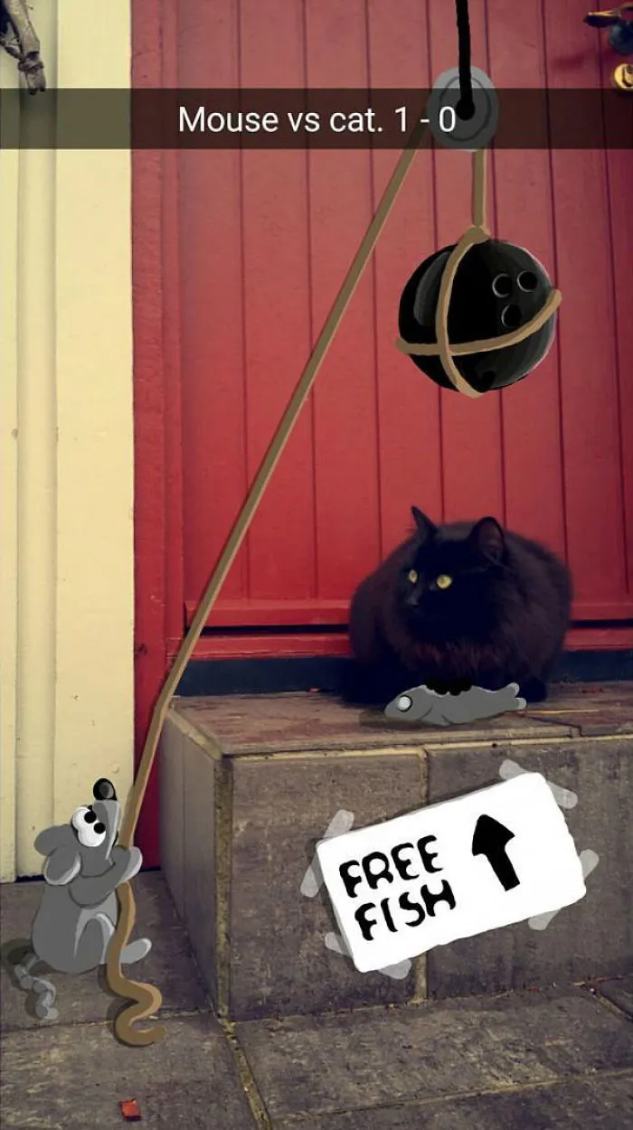 Ratón vs Gato 1-0