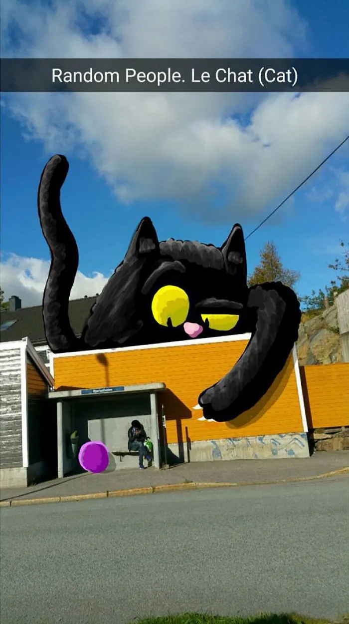 El gato