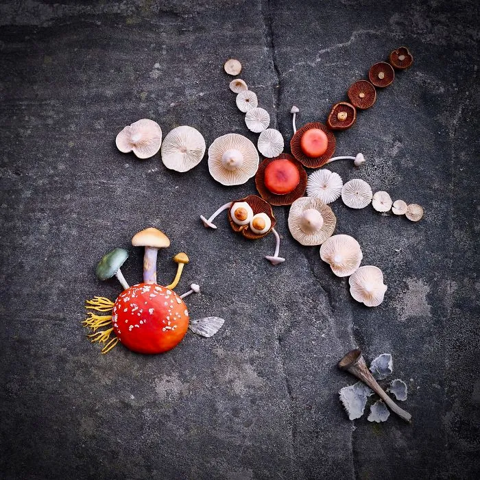I Create My Own Dream World Using Wild Mushrooms