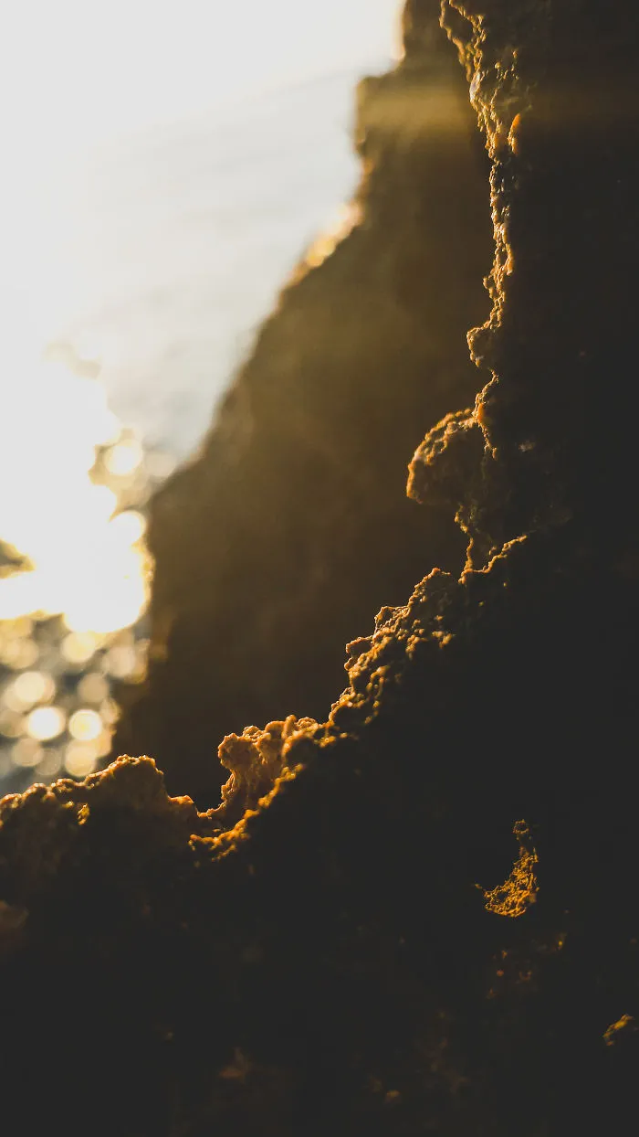 I Take Pictures With My Smartphone To Prove That It's Not The Equipment That Matters